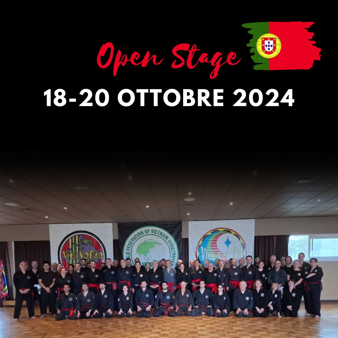 Stage Internazionale di Việt Võ Đạo e Việt Tài Chí