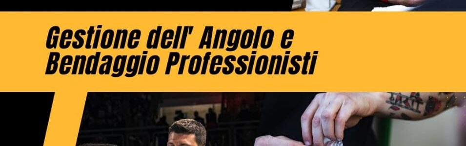 Stage Cutman – Gestione dell’angolo e bendaggio professionisti